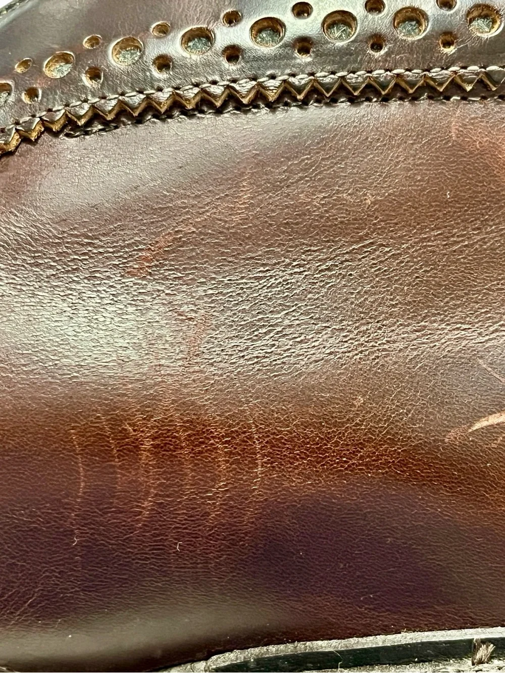 Allen Edmonds classic versatile